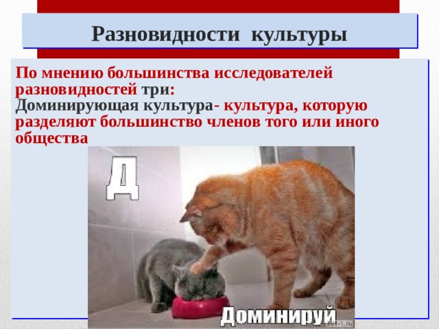 Разновидности культуры По мнению большинства исследователей разновидностей три : Доминирующая культура - культура, которую разделяют большинство членов того или иного общества 