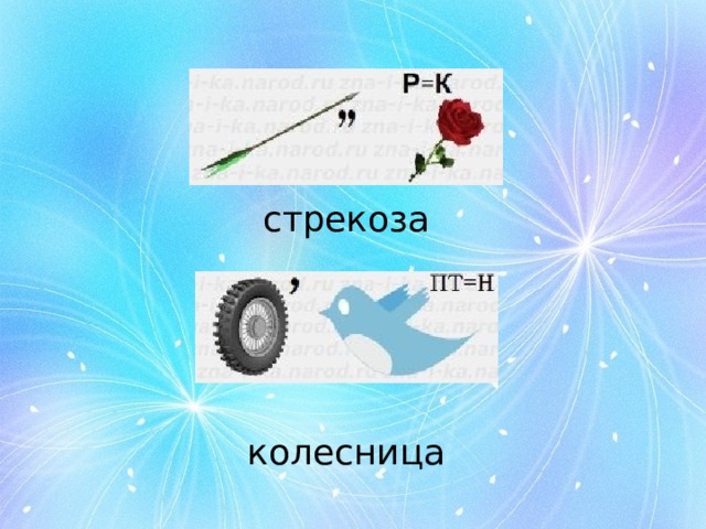 стрекоза колесница