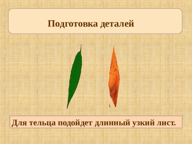 Подготовка деталей Для тельца подойдет длинный узкий лист. 