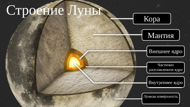 Строение Луны Кора Мантия Внешнее ядро Частично расплавленное ядро Внутреннее ядро Лунная поверхность 