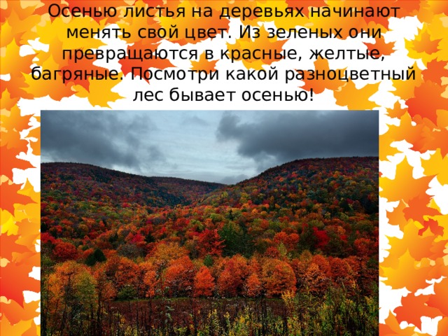 Почему листья меняют цвет осенью. Константин п какой бывает осень.