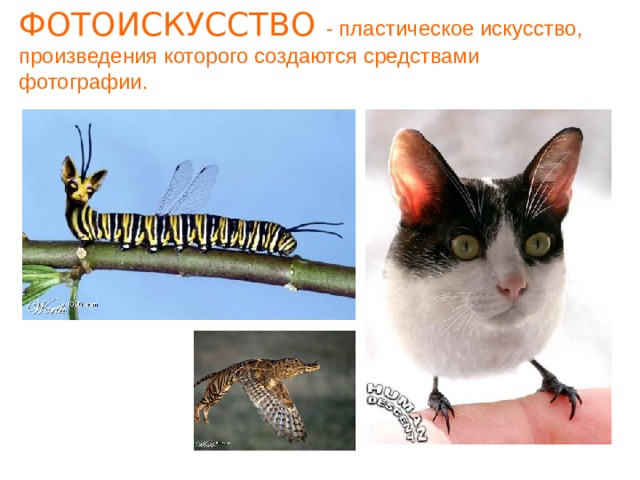 ФОТОИСКУССТВО - пластическое искусство, произведения которого создаются средствами фотографии.  