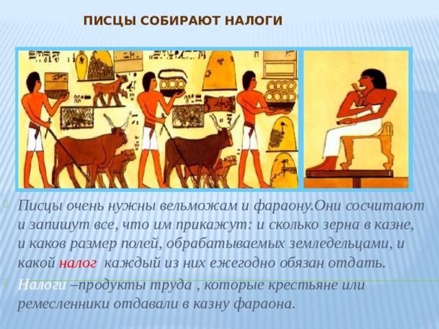Писцы собирают налоги Писцы очень нужны вельможам и фараону.Они сосчитают и запишут все, что им прикажут: и сколько зерна в казне, и каков размер полей, обрабатываемых земледельцами, и какой налог каждый из них ежегодно обязан отдать. Налоги –продукты труда , которые крестьяне или ремесленники отдавали в казну фараона. 
