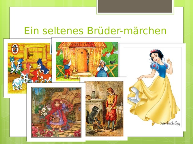 Ein seltenes Brüder-märchen 