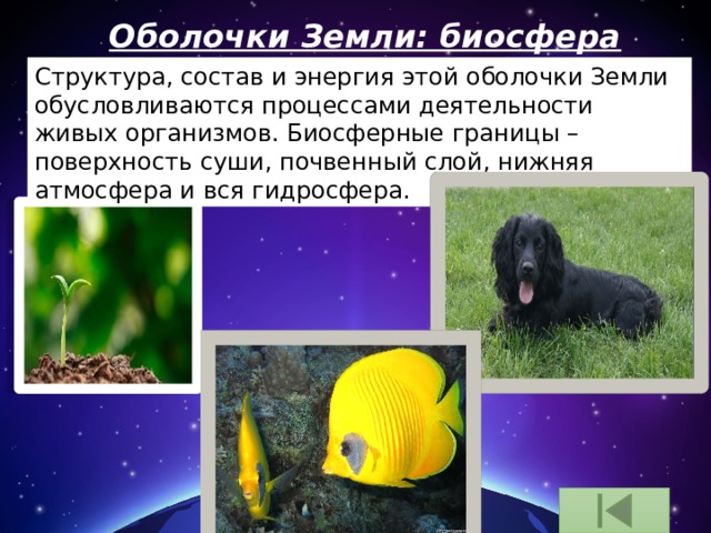 Оболочки Земли: биосфера Структура, состав и энергия этой оболочки Земли обусловливаются процессами деятельности живых организмов. Биосферные границы – поверхность суши, почвенный слой, нижняя атмосфера и вся гидросфера. 