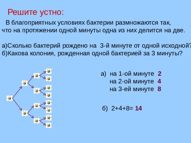 Какова первоначальная. Решите устно в благоприятных условиях бактерии размножаются. Как посчитать размножение бактерий в геометрической прогрессии.