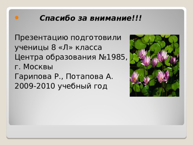 Спасибо за внимание!!!