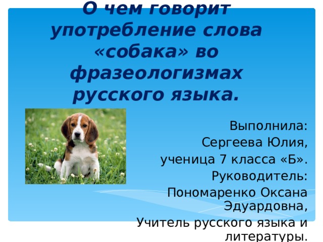 Слово собака составить слова. Предложение со словом собака. Фразеологизмы про собаку. Фразеологизмы со словом собака. Предложение со словом собака 1 класс.