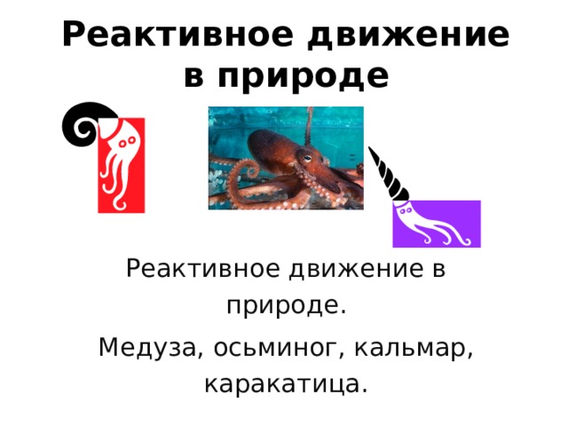 Реактивное движение  в природе Реактивное движение в природе. Медуза, осьминог, кальмар, каракатица.  