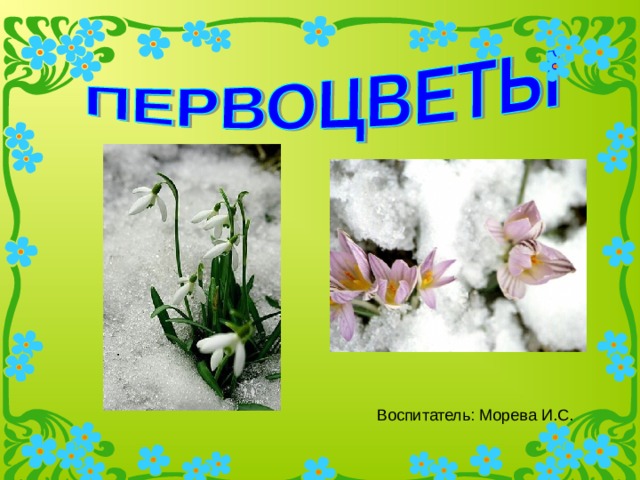 Воспитатель: Морева И.С. 
