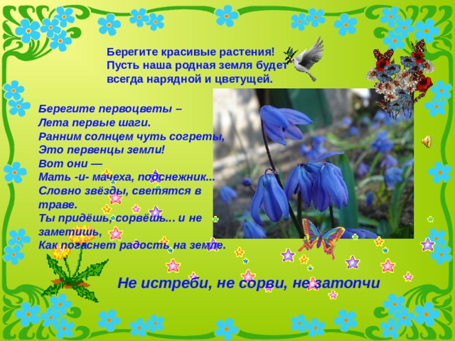 Берегите красивые растения! Пусть наша родная земля будет всегда нарядной и цветущей. Берегите первоцветы – Лета первые шаги. Ранним солнцем чуть согреты, Это первенцы земли! Вот они — Мать -и- мачеха, подснежник... Словно звёзды, светятся в траве. Ты придёшь, сорвёшь... и не заметишь, Как погаснет радость на земле. Не истреби, не сорви, не затопчи 