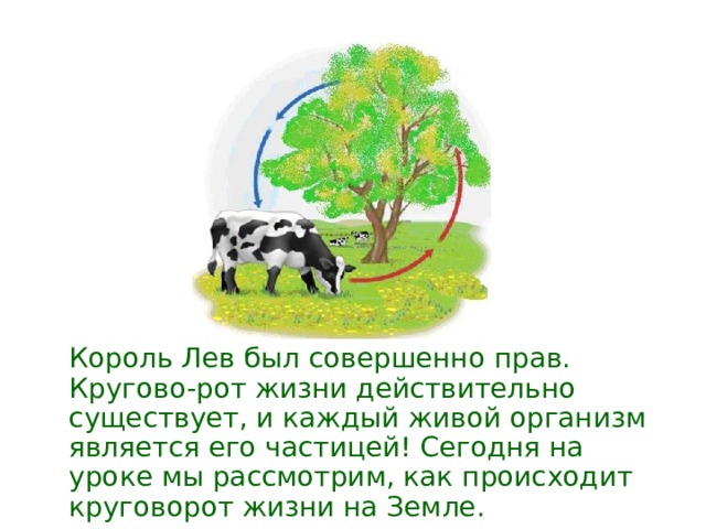 Круговорот жизни презентация 3 класс. Урок Великий круговорот жизни 3 класс Плешаков. Круговорот жизни Король Лев. Памятка Великий круговорот жизни 3 класс. Добро пожаловать на урок окружающего мира круговорот жизни.