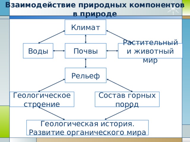 Взаимосвязь природных компонентов схема