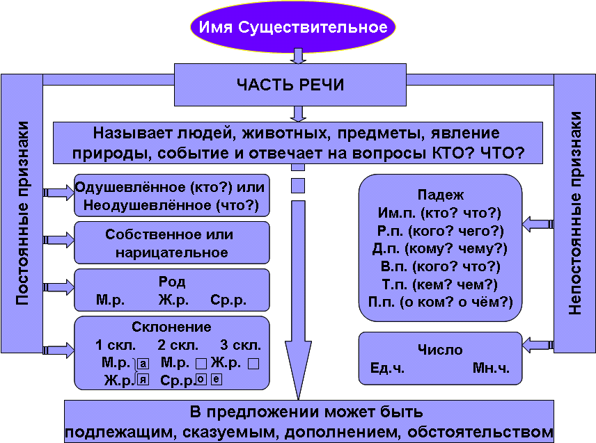 Проект про имя существительное 6 класс