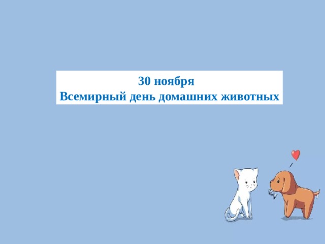 30 ноября Всемирный день домашних животных 