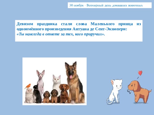 Девизом праздника стали слова Маленького принца из одноимённого произведения Антуана де Сент-Экзюпери: «Ты навсегда в ответе за тех, кого приручил». 