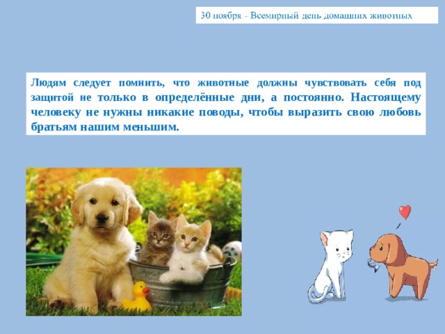 Людям следует помнить, что животные должны чувствовать себя под защитой не только в определённые дни, а постоянно. Настоящему человеку не нужны никакие поводы, чтобы выразить свою любовь братьям нашим меньшим. 