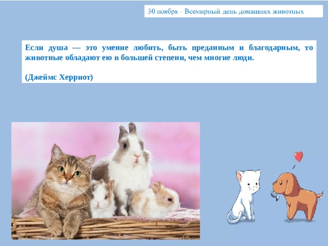 Если душа — это умение любить, быть преданным и благодарным, то животные обладают ею в большей степени, чем многие люди.  (Джеймс Херриот) 