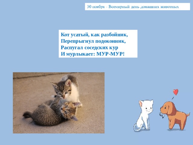 Кот усатый, как разбойник, Перепрыгнул подоконник, Распугал соседских кур И мурлыкает: МУР-МУР! 