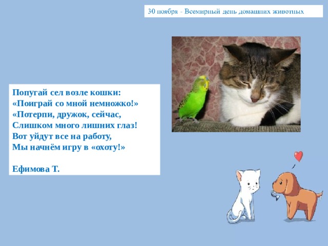 Попугай сел возле кошки: «Поиграй со мной немножко!» «Потерпи, дружок, сейчас, Слишком много лишних глаз! Вот уйдут все на работу, Мы начнём игру в «охоту!»  Ефимова Т. 