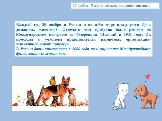 Каждый год 30 ноября в России и во всём мире празднуется День домашних животных. Отмечать этот праздник было решено на Международном конгрессе во Флоренции (Италия) в 1931 году. Он проходил с участием представителей различных организаций-защитников живой природы. В России дата отмечается с 2000 года по инициативе Международного фонда защиты животных. 