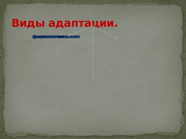 Виды адаптации. физиологическая социальная психологическая 5 