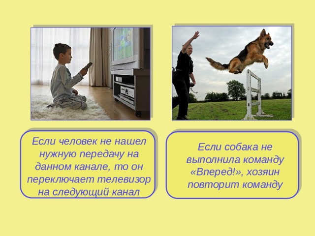 Если человек не нашел нужную передачу на данном канале, то он переключает телевизор на следующий канал Если собака не выполнила команду «Вперед!», хозяин повторит команду  