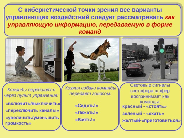 С кибернетической точки зрения все варианты управляющих воздействий следует рассматривать как управляющую информацию, передаваемую в форме команд Световые сигналы светофора шофер воспринимает как команды: Хозяин собаки команды передает голосом: Команды передаются через пульт управления: «включить/выключить» «переключить каналы» «увеличить/уменьшить громкость» «Сидеть!» «Лежать!» «Взять!» красный - «стоять» зеленый - «ехать» желтый-«приготовиться» 6 