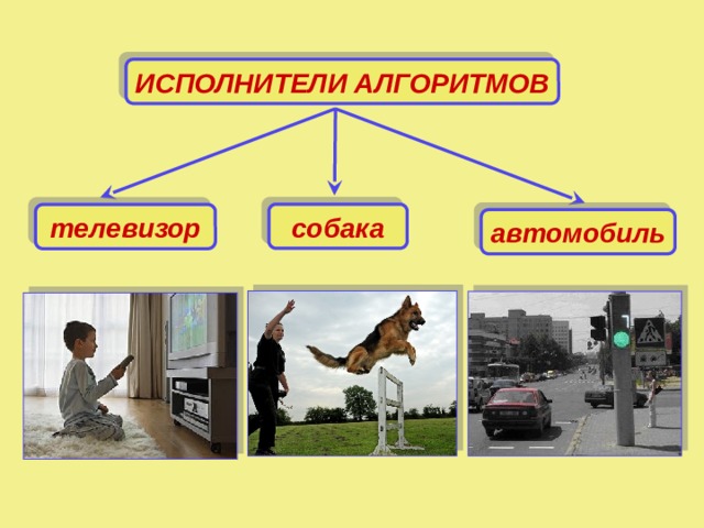 ИСПОЛНИТЕЛИ АЛГОРИТМОВ собака телевизор автомобиль 
