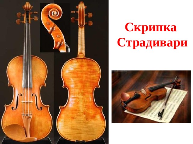 Скрипка    Страдивари 