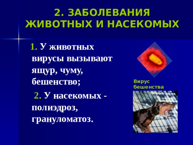 Запиши примеры заболеваний вызываемых вирусами