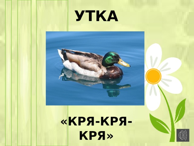 Кря. Утка кря. Уточка кря кря. Зря зря кря. Утка утка кря кря кря утка.