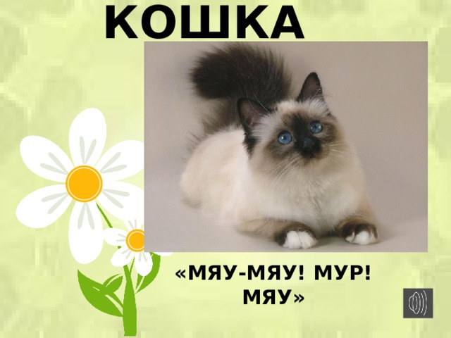 Кошка мяу. Мур Мур мяу мяу. Кошка Мур мяу. Мур мяу кошки собачки.