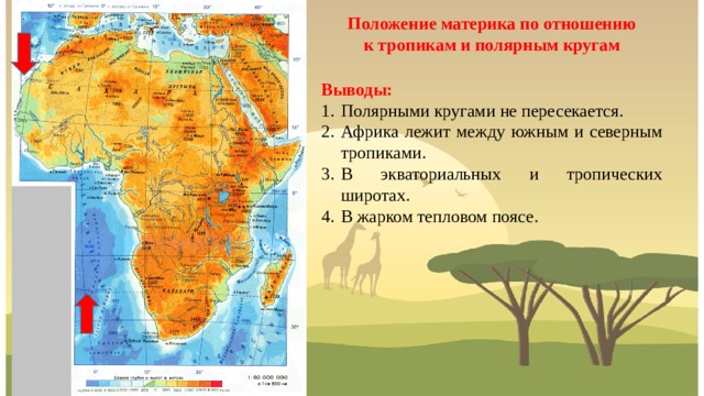 План описания материка африка. Положение Африки по отношению к полярным кругам. Положение Африки по отношению к тропикам. Положение Африки по отношению к тропикам и полярным кругам. Положение по отношению к тропикам.