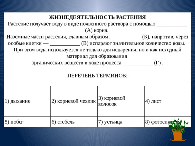 Растение получает воду в виде. Растения получают воду в виде почвенного раствора с помощью корня. Растение получает воду в виде почвенного раствора. Наземные части растения главным образом. Жизнедеятельность растений растения получают воду в виде.