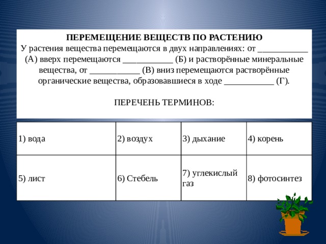 Перемещение веществ по растению