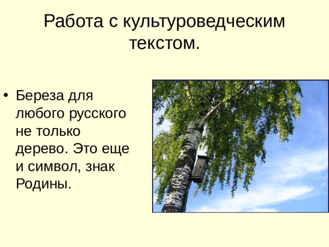 Работа с культуроведческим текстом. Береза для любого русского не только дерево. Это еще и символ, знак Родины. 