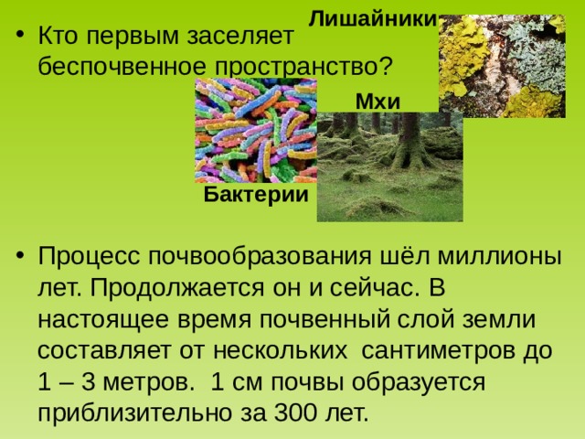 Лишайники Кто первым заселяет беспочвенное пространство?     Процесс почвообразования шёл миллионы лет. Продолжается он и сейчас. В настоящее время почвенный слой земли составляет от нескольких сантиметров до 1 – 3 метров. 1 см почвы образуется приблизительно за 300 лет. Мхи Бактерии 