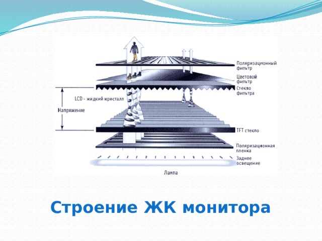Строение ЖК монитора 