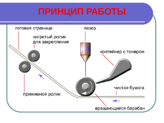 ПРИНЦИП РАБОТЫ 