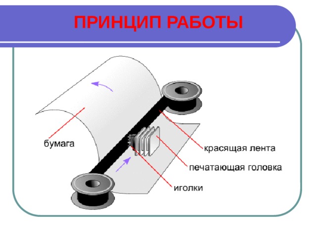 ПРИНЦИП РАБОТЫ 