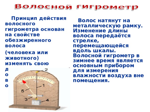  Принцип действия волосного гигрометра основан на свойстве обезжиренного волоса (человека или животного) изменять свою длину в зависимости от влажности воздуха, в котором он находится.  Волос  натянут на металлическую рамку. Изменение длины волоса передаётся стрелке, перемещающейся вдоль шкалы. Волосной гигрометр в зимнее время является основным прибором для измерения влажности воздуха вне помещения.  