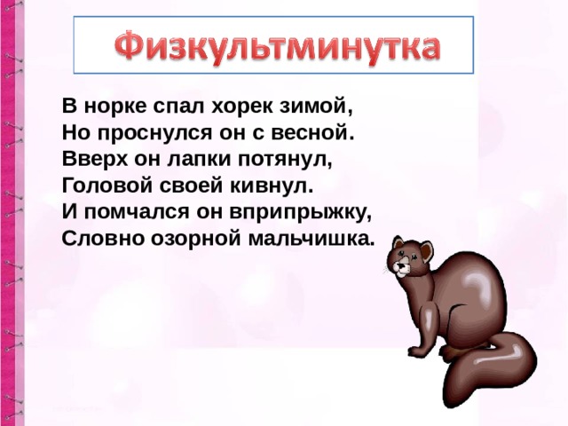 В норке спал хорек зимой,  Но проснулся он с весной.  Вверх он лапки потянул,  Головой своей кивнул.  И помчался он вприпрыжку,  Словно озорной мальчишка. 