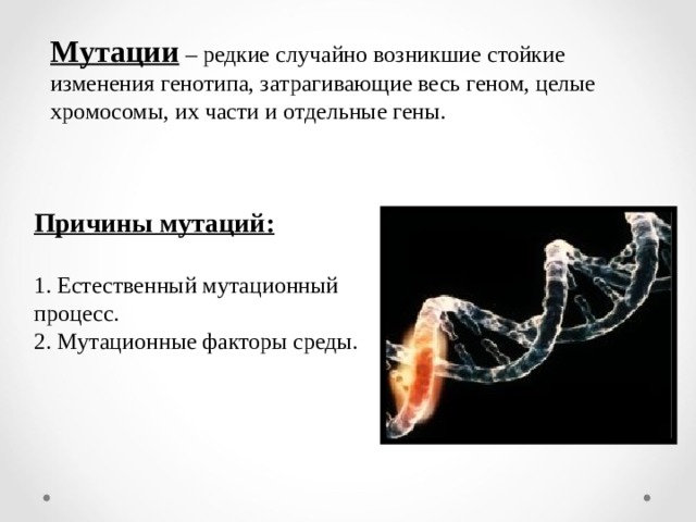 Мутации – редкие случайно возникшие стойкие изменения генотипа, затрагивающие весь геном, целые хромосомы, их части и отдельные гены. Причины мутаций:  1. Естественный мутационный процесс. 2. Мутационные факторы среды. 