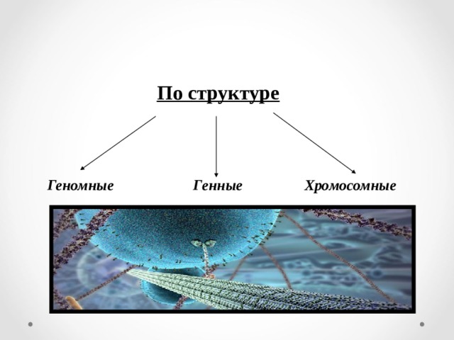    По структуре    Геномные Генные  Хромосомные 
