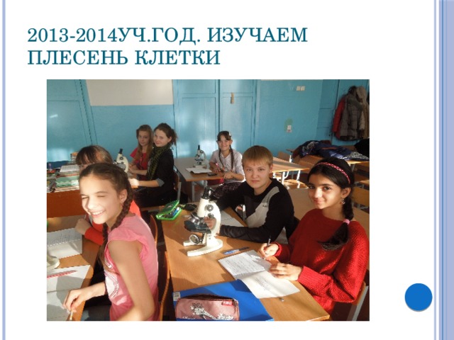 2013-2014уч.год. Изучаем плесень клетки 