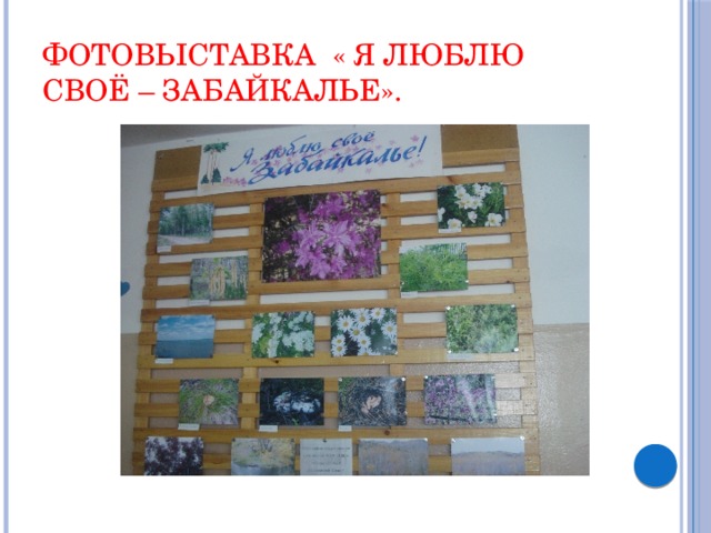 Фотовыставка « Я люблю своё – Забайкалье». 