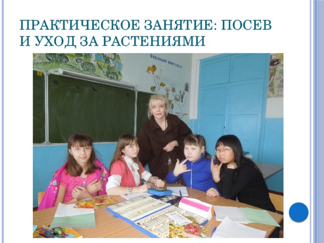 Практическое занятие: Посев и уход за растениями 