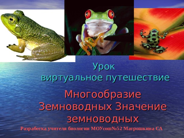 Разнообразие земноводных. Разнообразие амфибий. Урок многообразие земноводных. Многообразие земноводных презентация 7 класс.