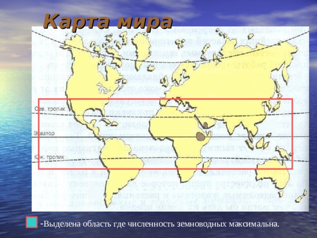 Карта мира - Выделена область где численность земноводных максимальна. 